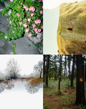 https://spectaclebox.net/files/gimgs/th-45_SpectacleBox - A Changing Nature - imagegrid.jpg
